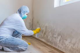 Best Biohazard Mold Removal  in South Gate Ridge, FL